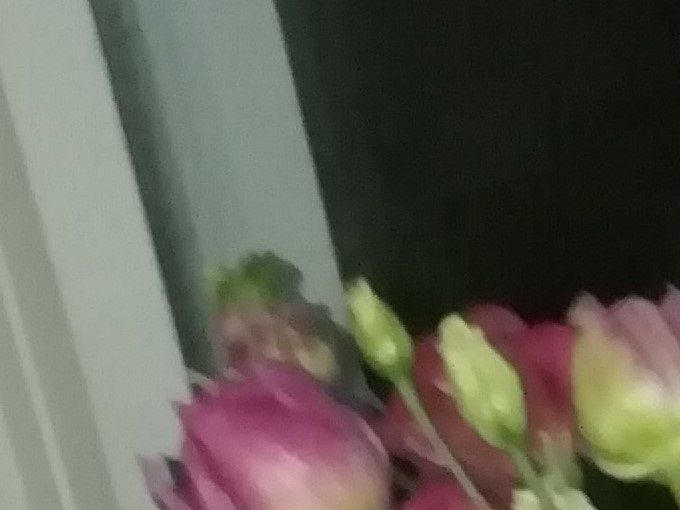 Tulpen, blauwe druifjes, gerbera, lisiantes en hedera op klompen