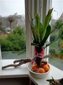 Boeket zonder water